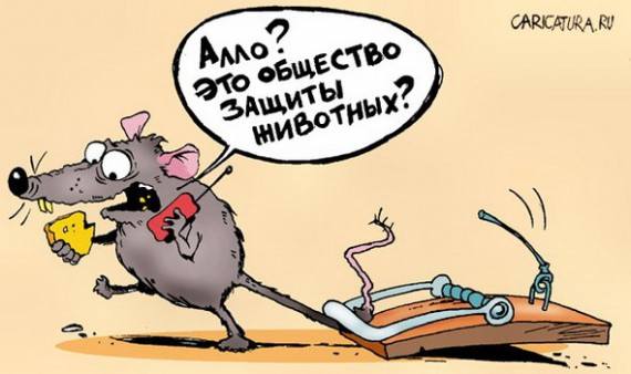 VFL.RU -  