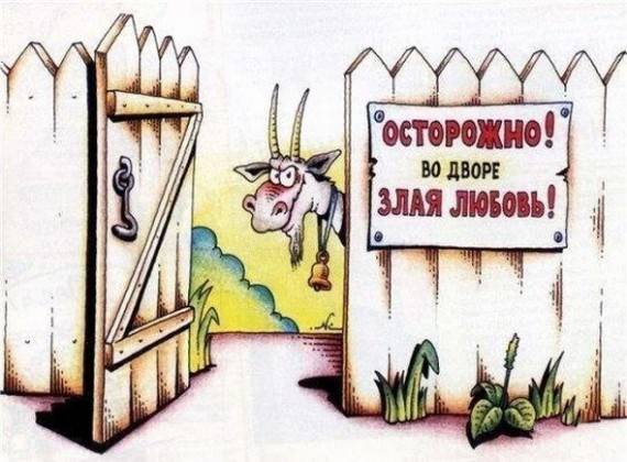 VFL.RU -  