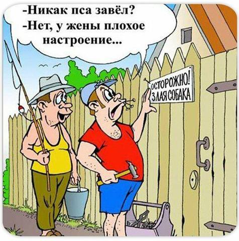 VFL.RU -  