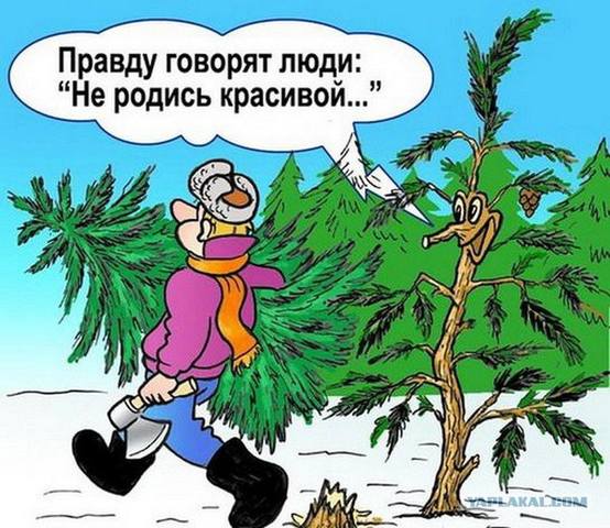 VFL.RU -  
