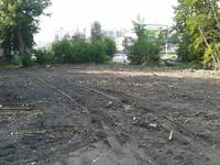 Руины