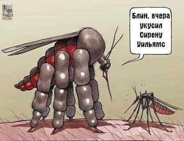 VFL.RU - ваш фотохостинг