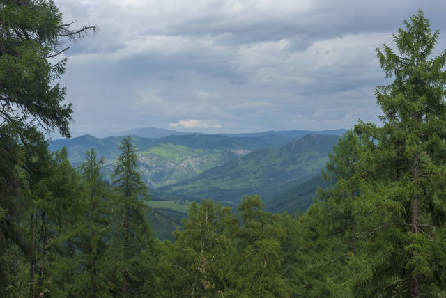 VFL.RU - ваш фотохостинг