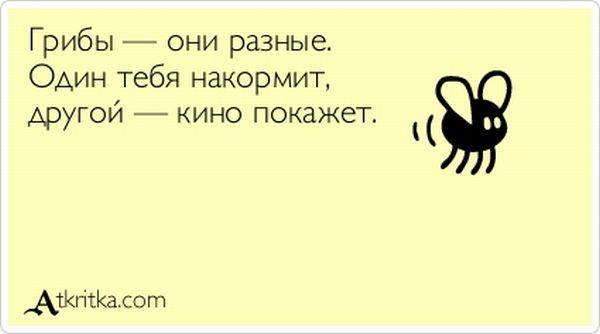 VFL.RU -  