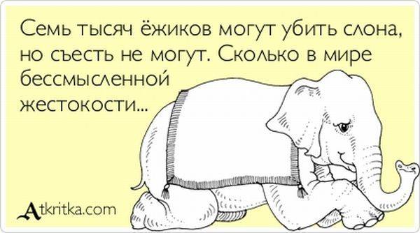 VFL.RU -  