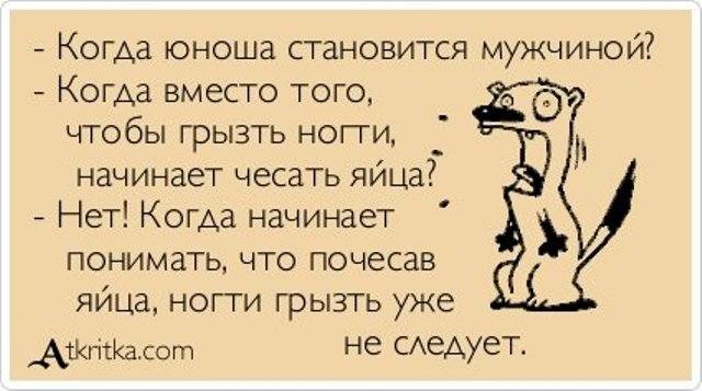VFL.RU -  