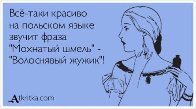VFL.RU -  