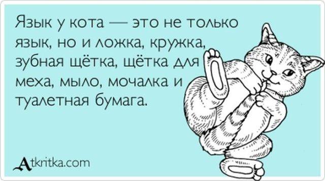 VFL.RU -  