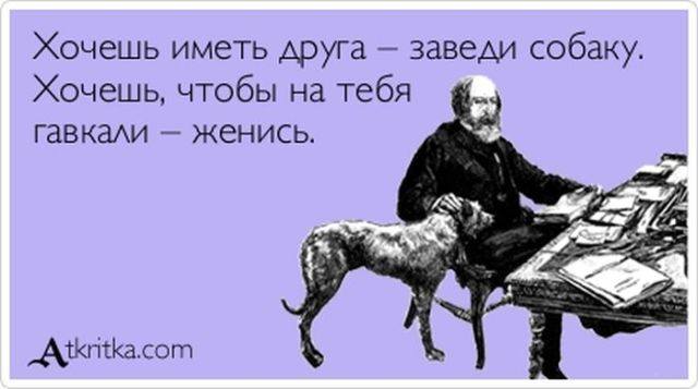 VFL.RU -  
