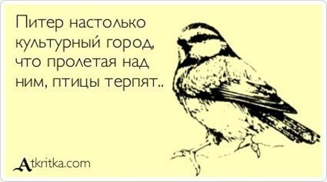 VFL.RU -  