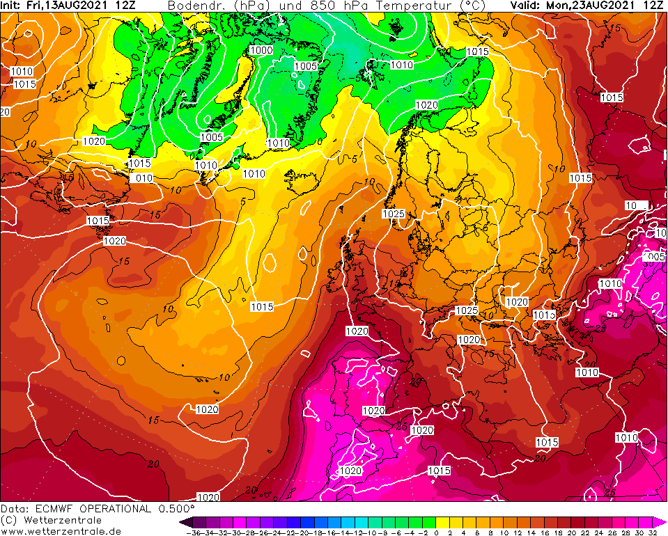 23авгECMWF(Т850)