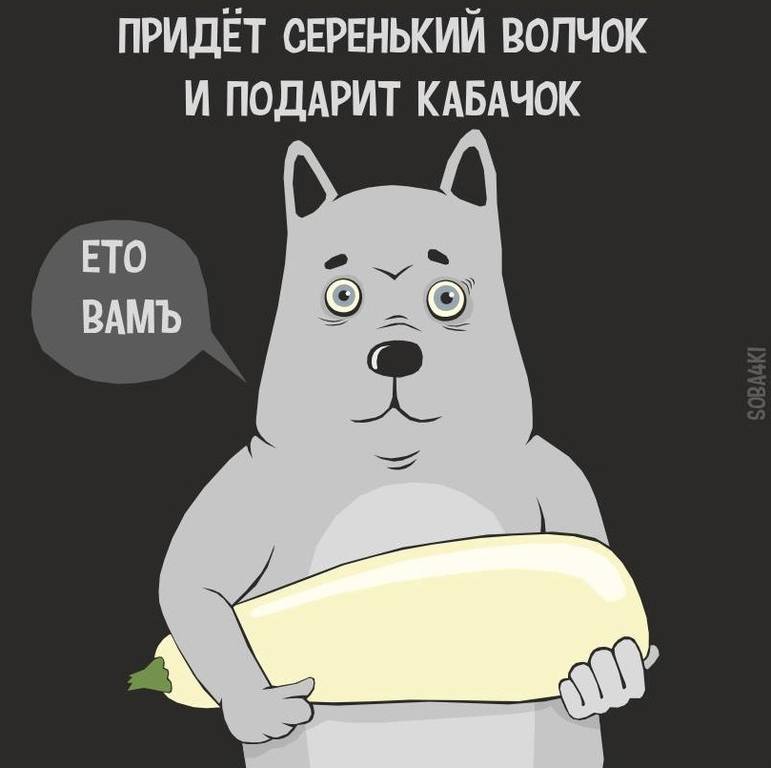 Кабачки по-еврейски - П И Щ Е Б Л О Г. О еде и не только — LiveJournal