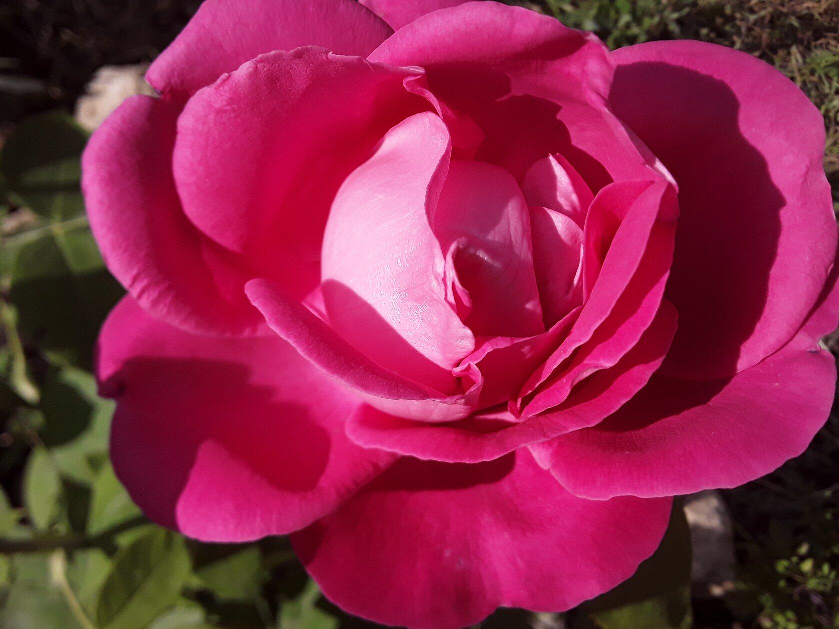 НАДЕЖДА ДУХАНИНА,Надя Немцева Духанина