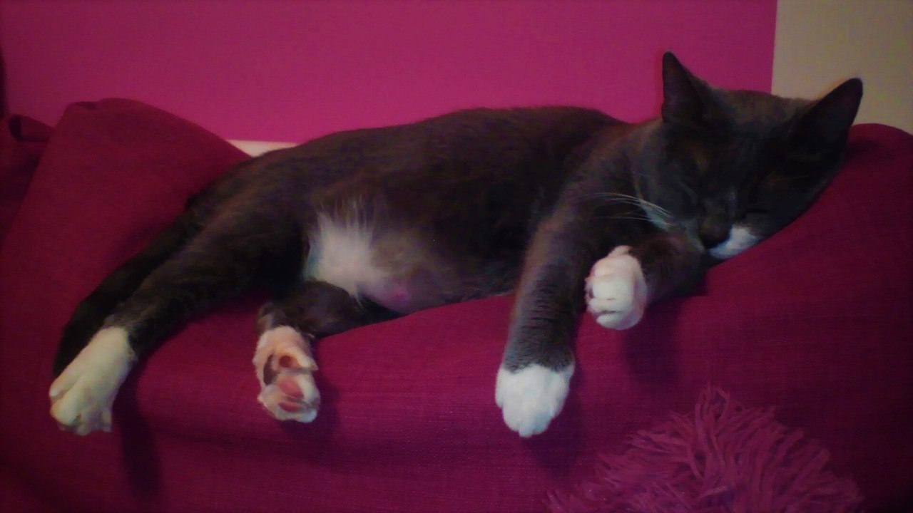 НАДЕЖДА ДУХАНИНА,Надя Немцева Духанина (109)