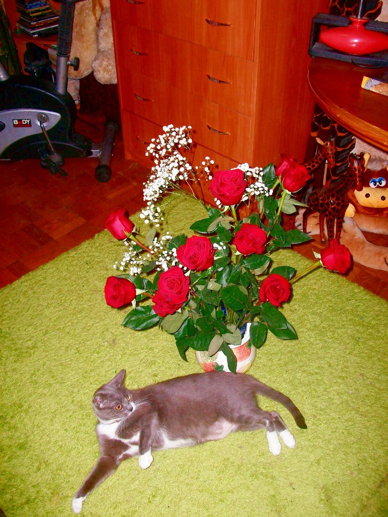 НАДЕЖДА ДУХАНИНА,Надя Немцева Духанина (33)