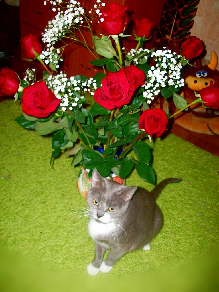 НАДЕЖДА ДУХАНИНА,Надя Немцева Духанина (35)