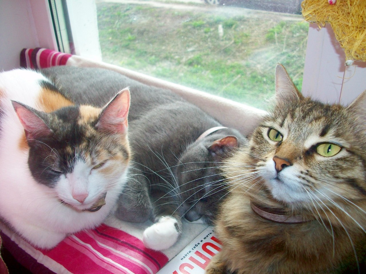 НАДЕЖДА ДУХАНИНА,Надя Немцева Духанина (44)