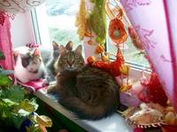 НАДЕЖДА ДУХАНИНА,Надя Немцева Духанина (52)