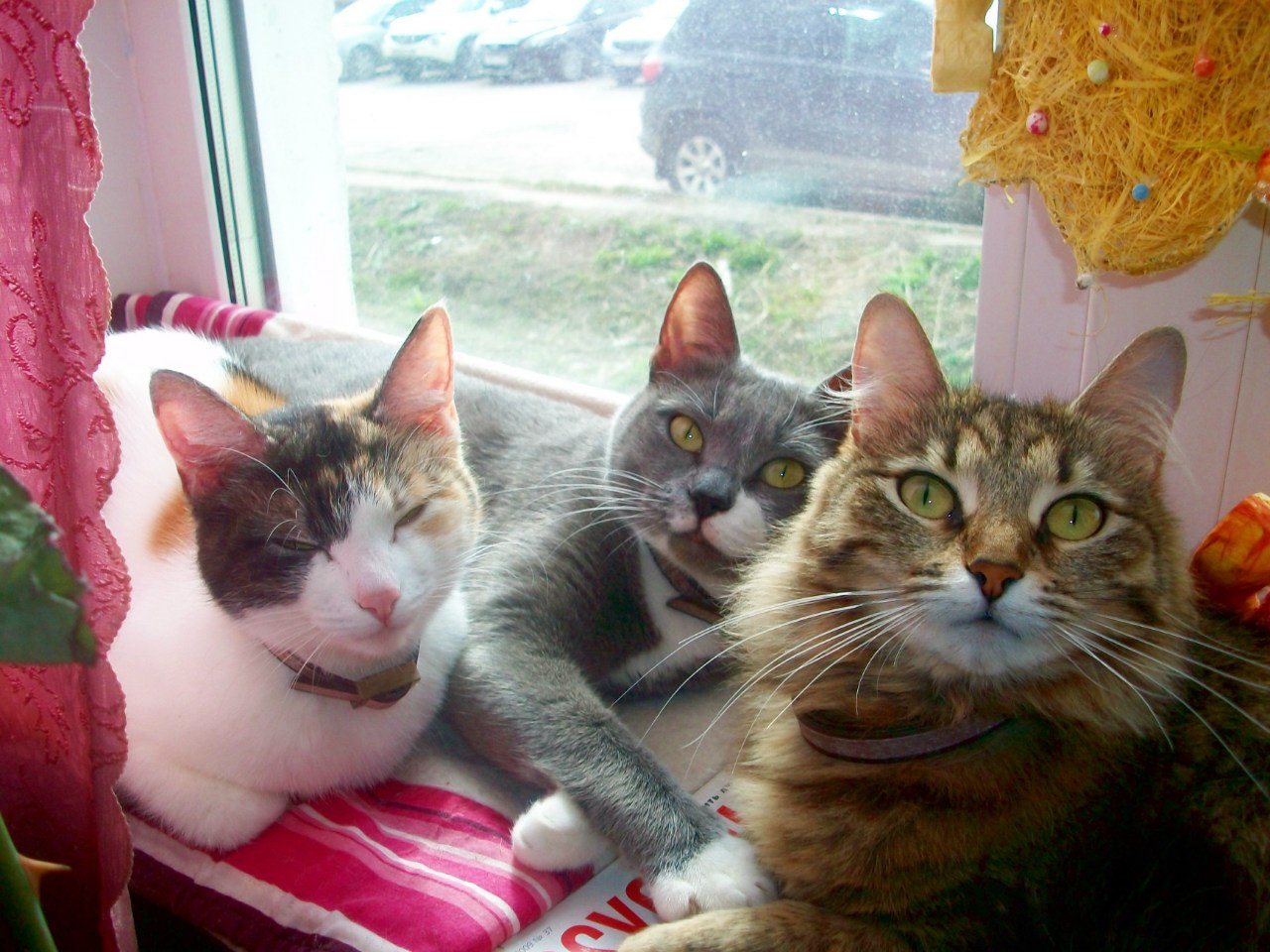 НАДЕЖДА ДУХАНИНА,Надя Немцева Духанина (56)