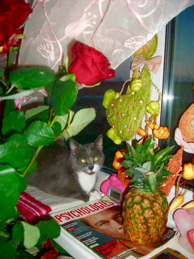 НАДЕЖДА ДУХАНИНА,Надя Немцева Духанина (71)