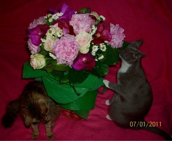 НАДЕЖДА ДУХАНИНА,Надя Немцева Духанина (93)