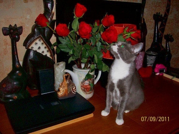 НАДЕЖДА ДУХАНИНА,Надя Немцева Духанина (101)