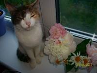 НАДЕЖДА ДУХАНИНА,Надя Немцева Духанина (119)