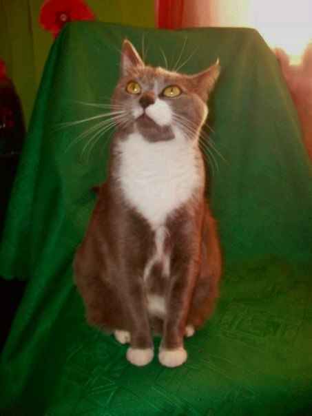 НАДЕЖДА ДУХАНИНА,Надя Немцева Духанина (247)