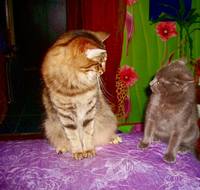 НАДЕЖДА ДУХАНИНА,Надя Немцева Духанина (281)