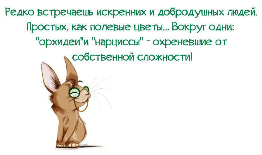 http://images.vfl.ru/ii/1629436478/7dc0e16d/35560102.jpg
