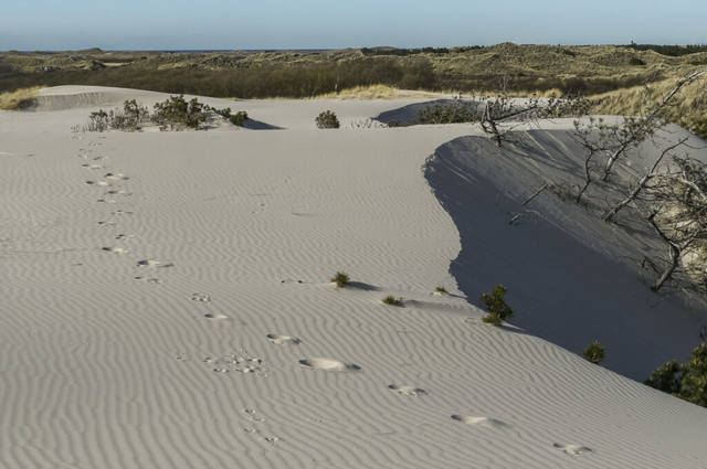 ������ 3