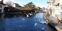 Thun-10