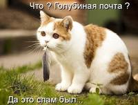 VFL.RU - ваш фотохостинг
