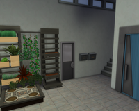 VFL.RU - ваш фотохостинг