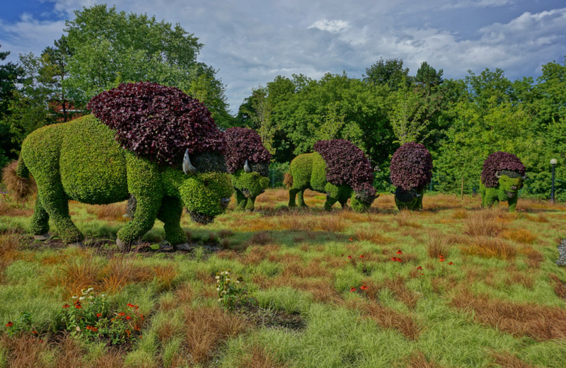 All sizes Carex meadow (1) Flickr - Photo Sharing!