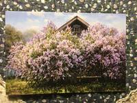 VFL.RU - ваш фотохостинг
