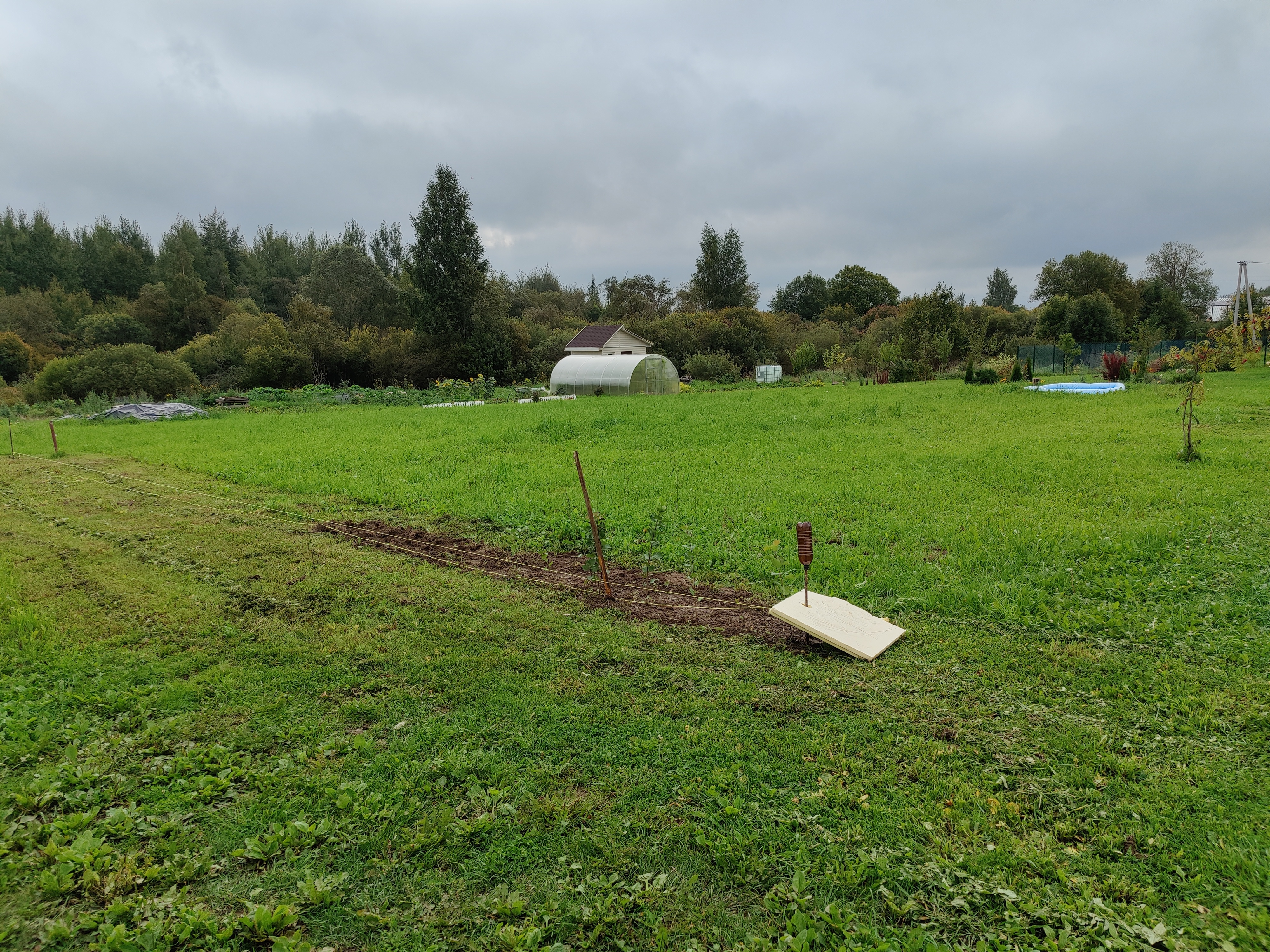 Соседи забор