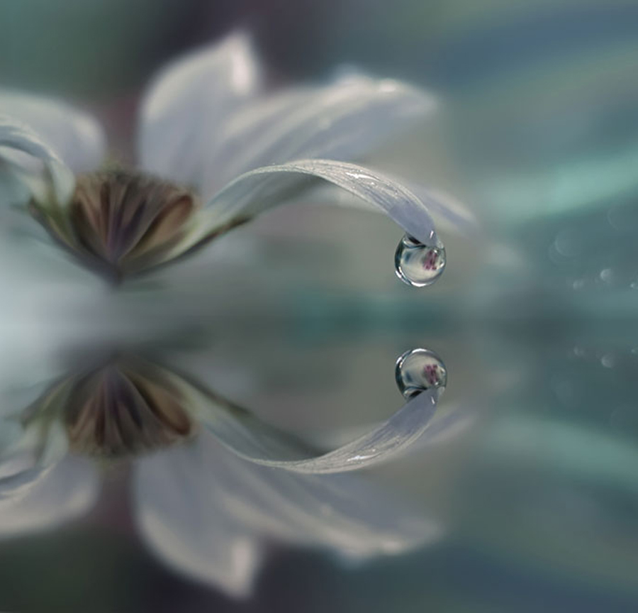 фото Джулианы Нан2