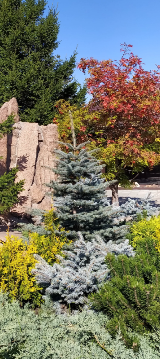 VFL.RU - ваш фотохостинг VFL.RU - ваш фотохостинг