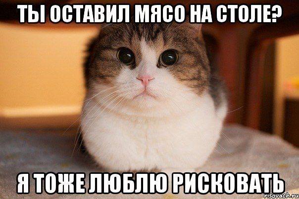 VFL.RU -  