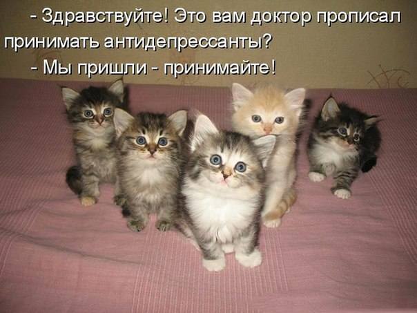 VFL.RU -  