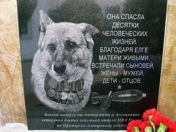 рад2