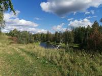 VFL.RU - ваш фотохостинг
