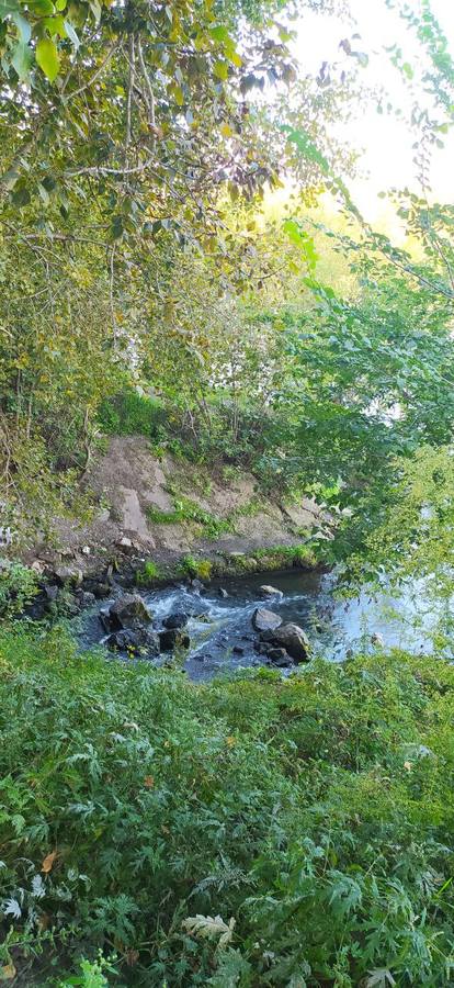 VFL.RU - ваш фотохостинг VFL.RU - ваш фотохостинг