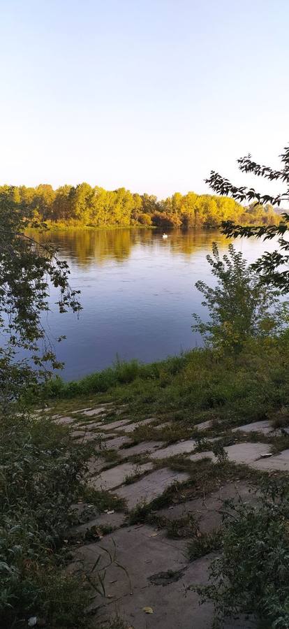 VFL.RU - ваш фотохостинг VFL.RU - ваш фотохостинг