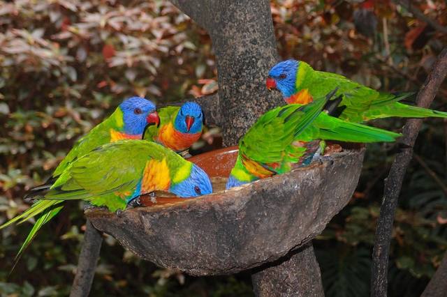 ����-���� � ������-��-��-����2