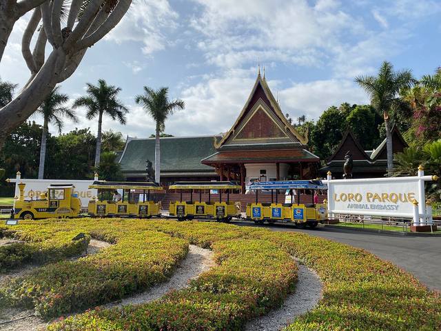 ����-���� � ������-��-��-����1