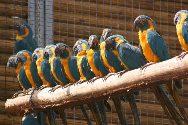 ����-���� � ������-��-��-����4