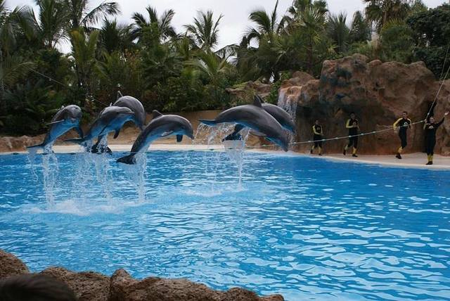 ����-���� � ������-��-��-����8