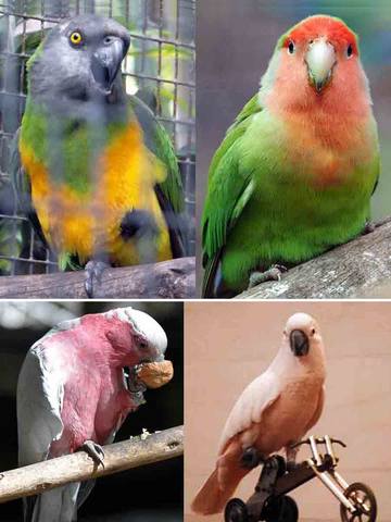 ����-���� � ������-��-��-����7